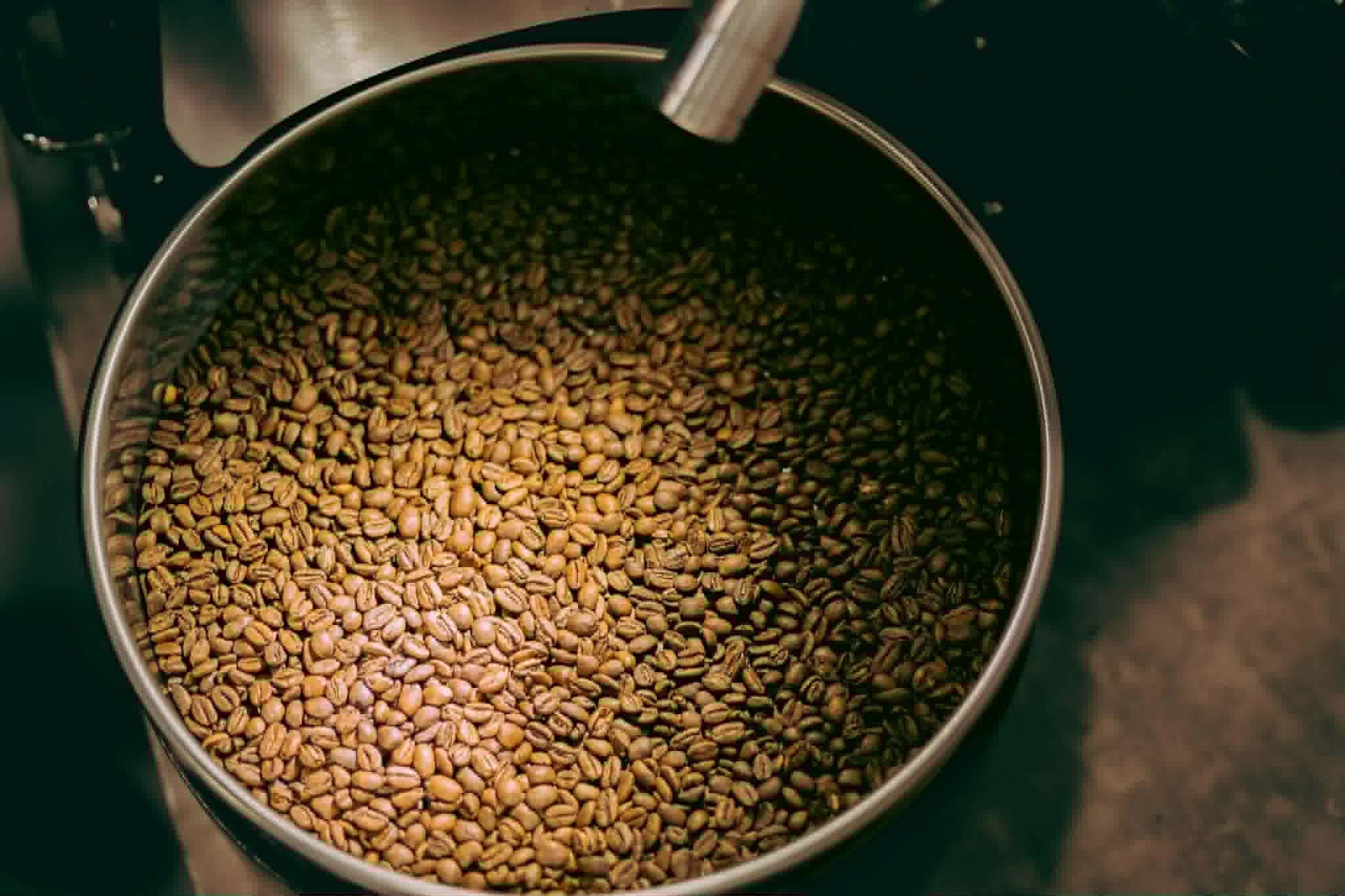 Freshly roasted coffee beans